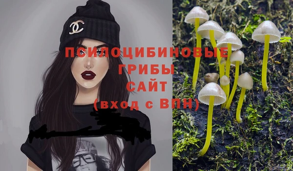 альфа пвп Куйбышев