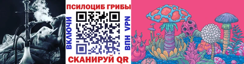 Галлюциногенные грибы мухоморы  купить наркотики цена  мега ТОР  Агидель 